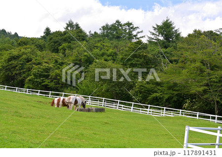 八ヶ岳まきば公園 117891431