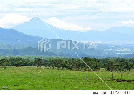 八ヶ岳まきば公園 117891435