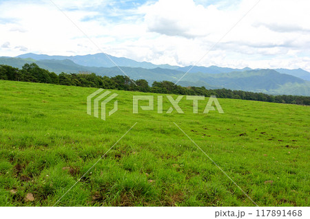 八ヶ岳まきば公園 117891468