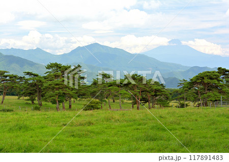 八ヶ岳まきば公園 117891483