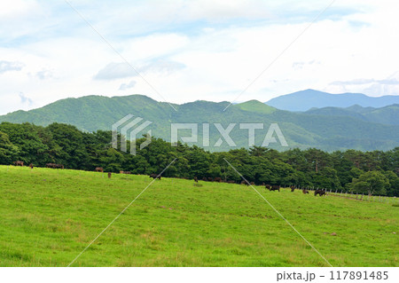八ヶ岳まきば公園 117891485