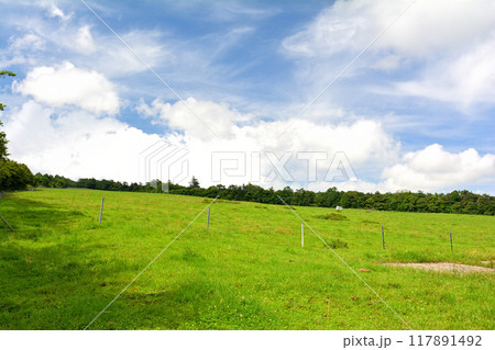 八ヶ岳まきば公園 八ヶ岳まきば公園 117891492
