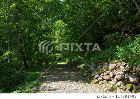 八ヶ岳まきば公園 117891495