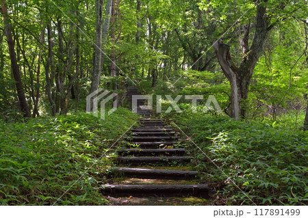 八ヶ岳まきば公園 八ヶ岳まきば公園 117891499