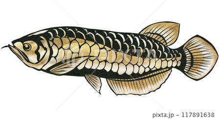 ゴールドアロワナの切り絵イラスト ゴールドアロワナの切り絵イラスト 117891638