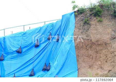 ブルーシートで応急補修した法面 117892064