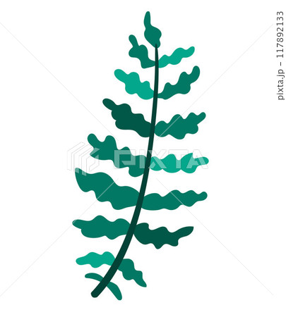 Cute fern leaves icon. Forest or woodland plant clipart isolated on white background. Botanical foliage design element. Simple greenery branch illustration for kids 117892133
