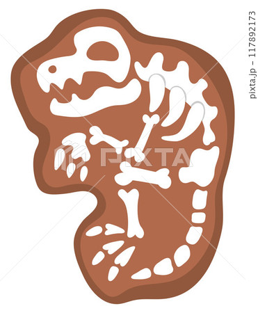 Vector tyrannosaurus rex bones icon. Cute dinosaur fossils illustration for kids. Funny excavated T-rex clipart for children isolated on white background. Cartoon prehistoric animal picture 117892173