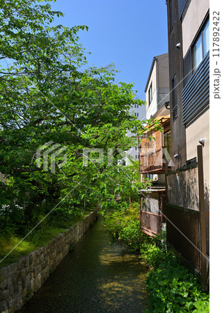 京都・高瀬川 京都・高瀬川 117892422