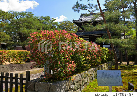 京都・建仁寺 京都・建仁寺 117892487
