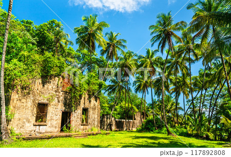 Old ruins of notorious penal colony in Saint Joseph Island, Salvation Islands, French Guiana, South America Old ruins of notorious penal colony in Saint Joseph Island, Salvation Islands, French Guiana, South America 117892808