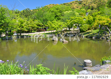 京都・円山公園 117892829