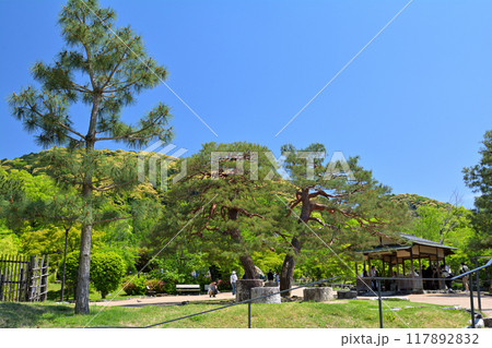 京都・円山公園 京都・円山公園 117892832
