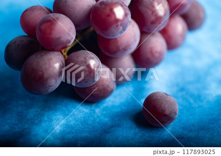 美味しい葡萄 117893025