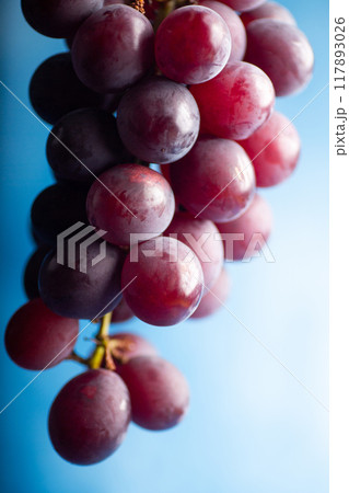 美味しい葡萄 117893026