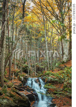 Waterfall near to Bansko, the famous town for winter tourism in Bulgaria 117893195