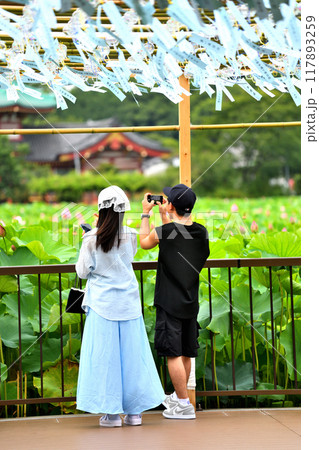 上野不忍池の風鈴夏祭りのカップル 上野不忍池の風鈴夏祭りのカップル 117893259