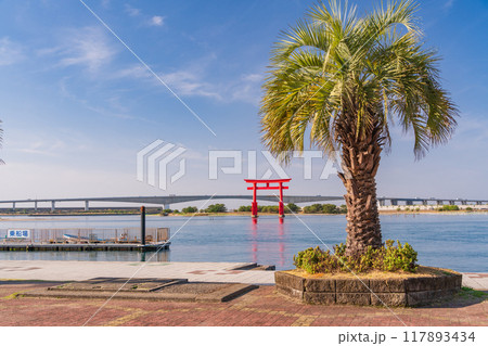 （静岡県）晴天の浜名湖弁天島 117893434