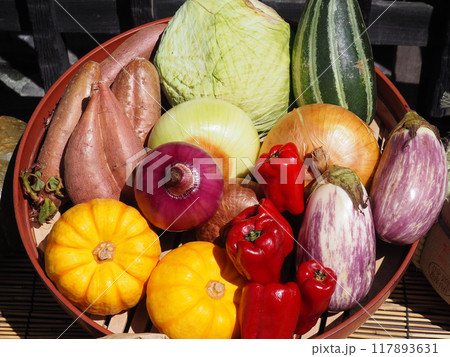 カラフルな夏野菜 カラフルな夏野菜 117893631