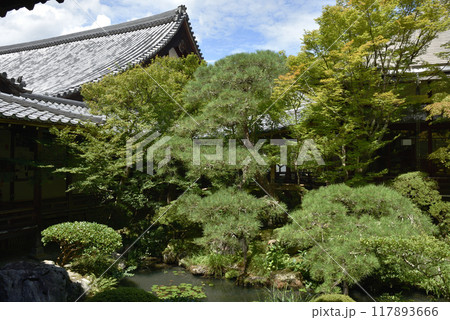 夏の永観堂禅林寺 池泉庭園(方丈北庭) 夏の永観堂禅林寺 池泉庭園(方丈北庭) 117893666