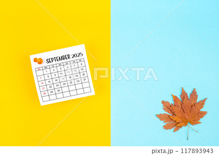 September 2025 calendar and autumn foliage on a yellow and blue. Empty space provided for text or advertising purposes. 117893943