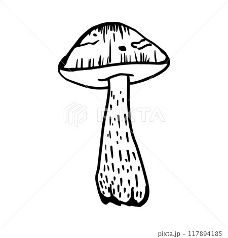 Mushrooms hand-drawn doodle Mushrooms hand-drawn doodle 117894185