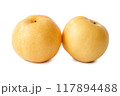 Chinese pear close up on white background. 117894488