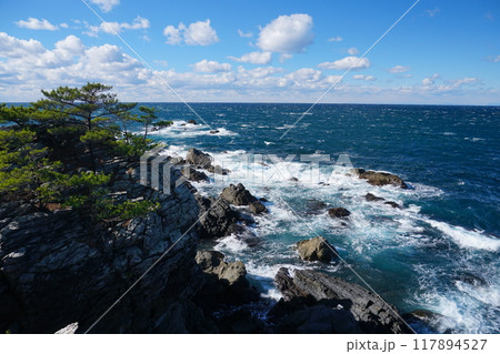 高知県室戸半島行道不動から観た岩礁に白波打ち寄せる太平洋の風景　Ver1 117894527