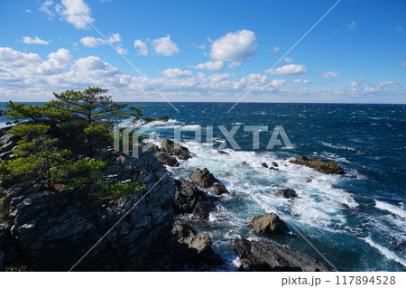 高知県室戸半島行道不動から観た岩礁に白波打ち寄せる太平洋の風景　Ver2 117894528