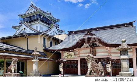 夏の青空に映える岡崎城天守閣と龍城神社本殿〈岡崎城公園/愛知県岡崎市〉 夏の青空に映える岡崎城天守閣と龍城神社本殿〈岡崎城公園/愛知県岡崎市〉 117894718