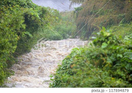 台風接近により増水して水位が上がった山間部の小川 台風接近により増水して水位が上がった山間部の小川 117894879
