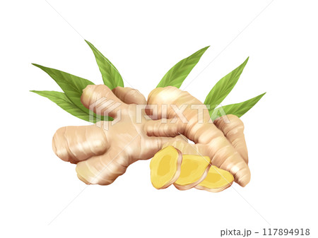 Ginger food illustration on white background 117894918