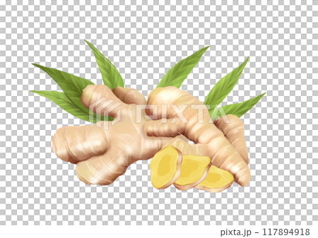 Ginger food illustration on white background 117894918