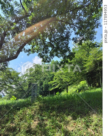 三の丸、勝山城跡（山梨県都留市） 117894953