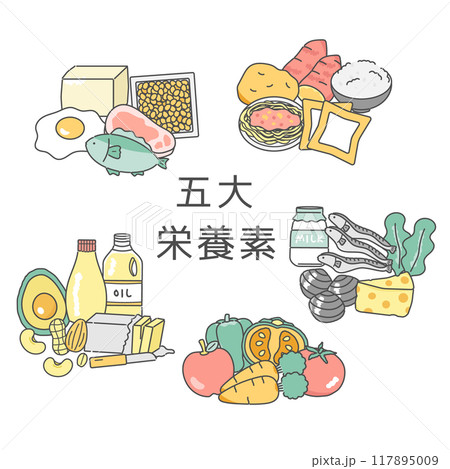 五大栄養素　イラストセット 117895009