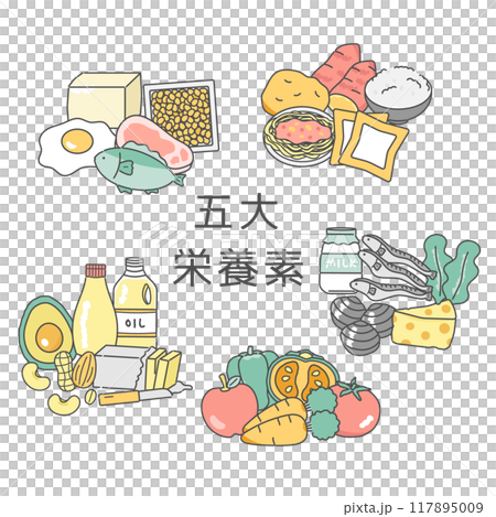 五種主要營養素插畫集 117895009