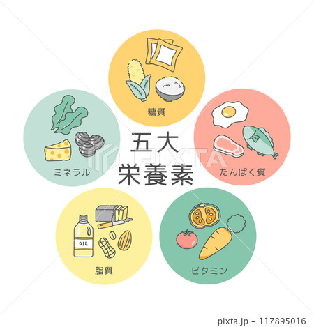 五大栄養素　イラストセット 117895016