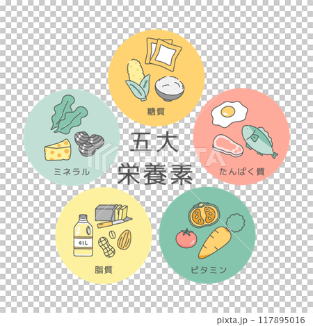 五大栄養素　イラストセット 117895016