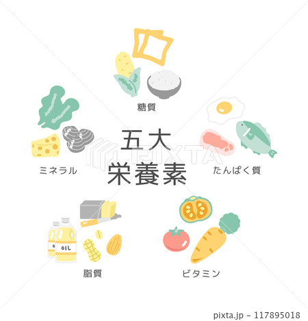 五大栄養素 イラストセット 五大栄養素 イラストセット 117895018