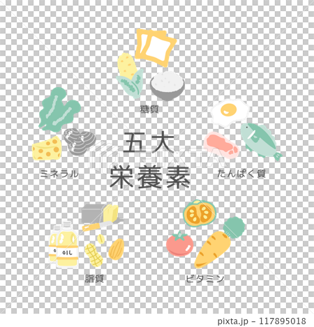 五大栄養素 イラストセット 五大栄養素 イラストセット 117895018