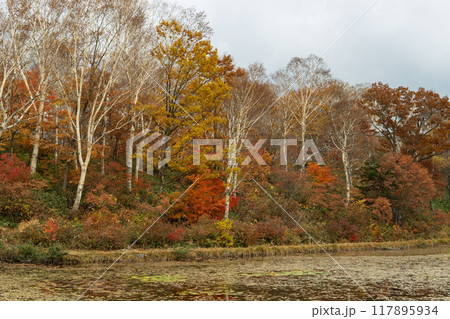 紅葉した秋の木戸池【志賀高原】長野県・10月 紅葉した秋の木戸池【志賀高原】長野県・10月 117895934