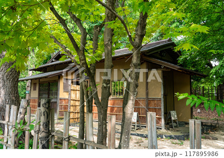 7月の八窓庵 中島公園 117895986