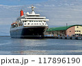 豪華客船 117896190