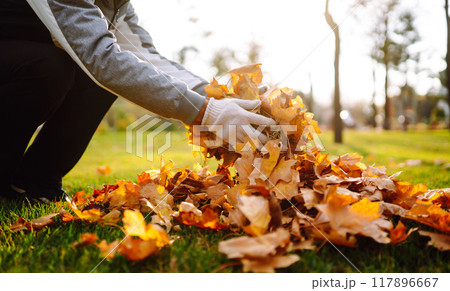 Harvesting autumn leaves. Man cleans the autumn park from yellow leaves. Volunteering, cleaning. 117896667