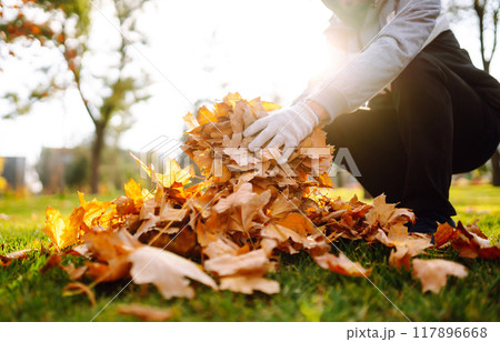 Harvesting autumn leaves. Man cleans the autumn park from yellow leaves. Volunteering, cleaning. 117896668