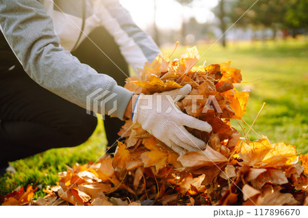 Harvesting autumn leaves. Man cleans the autumn park from yellow leaves. Volunteering, cleaning. 117896670