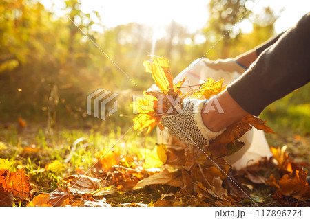 Young boy cleans fallen leaves. Concept of purity. autumn leaves. Outdoor. Gloves on his hands. Young boy cleans fallen leaves. Concept of purity. autumn leaves. Outdoor. Gloves on his hands. 117896774