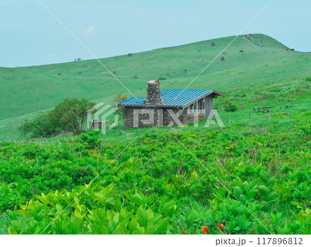 初夏の霧ヶ峰・車山高原のビーナスの丘にある山小屋 117896812