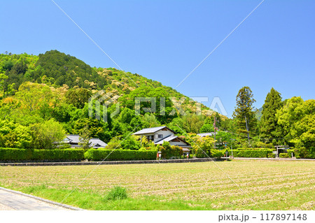京都・嵯峨野 117897148
