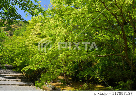 京都・嵯峨野 二尊院 京都・嵯峨野 二尊院 117897157